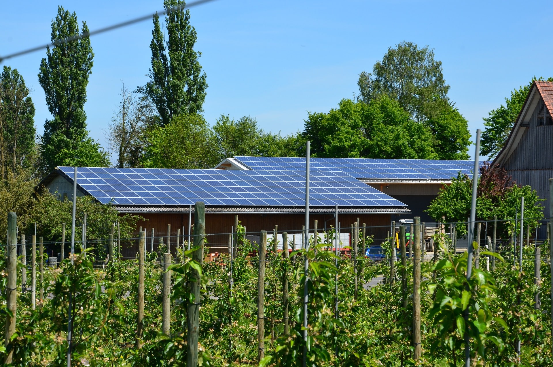 autoconsumo solar para empresas
